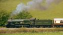 5029 Nunney Castle.Llanvihangel.22.4.2011.