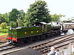 3803 leaves  Buckfastliegh.10.08.2008.