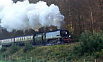 34067.Tangmere.Beambridge.28.09.08.