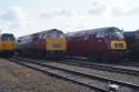 D821 & D1015 At Old Oak Common Open Day