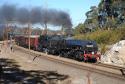 Beyer Garratt 6029 Struts Up The Blue Mountains