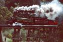 Puffing Billy 7a On Monbulk Trestle