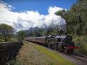 80097 At Lumb Wood