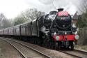Black V # 45305 @ Hoghton 04/02/2012.