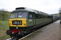 # D1501 @ Irwell Vale 04/03/2012.