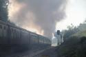 8F # 48151 @ Hoghton Bottoms 04/06/2012.