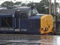 Class 37 # 37423 @ Preston 05/09/2011.