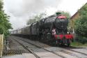 8F # 48151 @ Hoghton 06/06/2012.