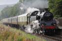 Standard Tank # 80080 @ Irwell Vale 12/10/2013.
