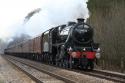 Black V # 44932 @ Hoghton Bottoms 16/02/2013.