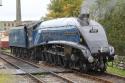 # 60007 "Sir Nigel Gresley" @ ELR 18/10/2014.