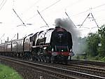 6233  Duchess of Sutherland @ Farington 24/05/2008.