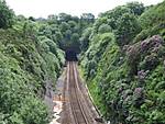 Northern entrance to Sough Tunnel 04/06/2008.