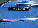 A4 World record holder Mallard.