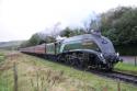 # 60009 "Union Of South Africa" @ Irwell Vale ELR 14/10/2017.