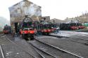 Haworth Shed 12/03/2023