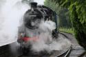 Standard 5 # 80080 @ ELR 13/08/2016.