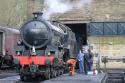 B1 # 61264 @ Haworth Shed KWVR Steam Gala 04/03/2017.