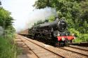 Jubilee # 45690 "Leander" @ Pleasington 12/06/2018