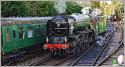 60163 Tornado At Alresford