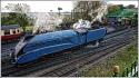 2011-10-29 Saturday Mid Hants Steam Gala 4492 At Ropley